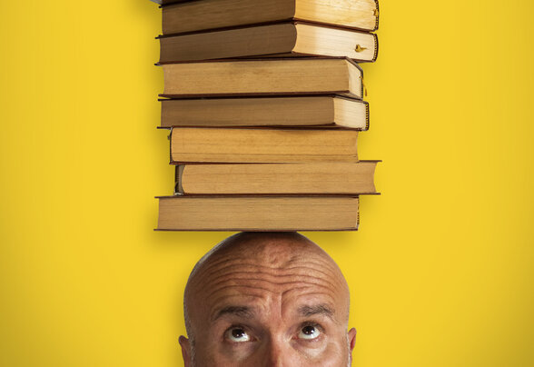 - Agrandir l'image, fenêtre modale