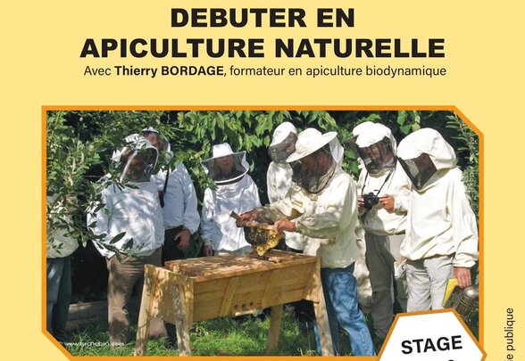  - Agrandir l'image, fenêtre modale