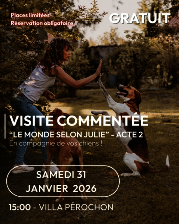  - Agrandir l'image, fenêtre modale