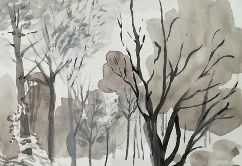 - Agrandir l'image, fenêtre modale