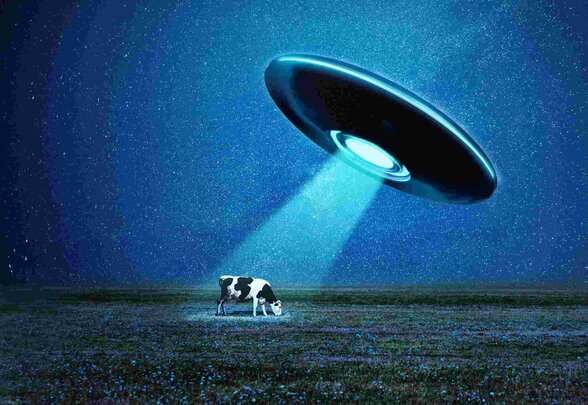  - Agrandir l'image, fenêtre modale