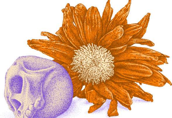 Illustration graphique pointilliste d'une fleur orange et d'un crâne violet, visuel du Festival Rise & Fall au Camji